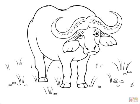 buffalo coloring page  printable coloring pages