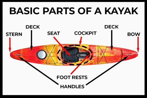 parts   kayak bow  stern anatomy paddle camp   kayaking canoeing stand