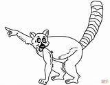 Lemur Coloring Pages Cartoon Drawing Lemurs Printable Kids Getdrawings Categories sketch template