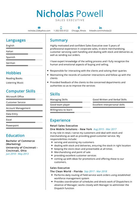 professional resume samples   resumekraft executive