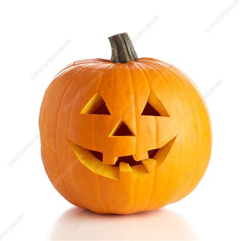 carved pumpkin stock image  science photo library