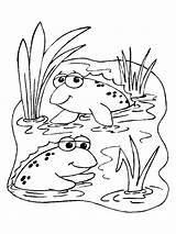 Pond Frogs Colored Drawing Coloring sketch template