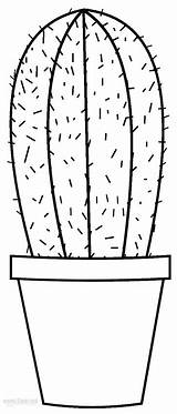 Cactus Coloring Kaktus Cool2bkids Malvorlagen Ausdrucken Kostenlos Succulent sketch template