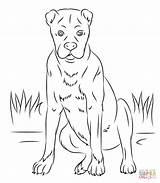 Boxer Pages Coloring Dog Dogs Printable Puppy Realistic Colouring Super Supercoloring Pitbull Boxers Cute sketch template
