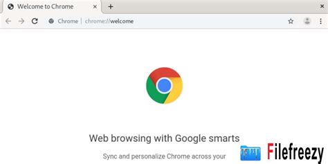 chrome standalone browser offline installer    filefreezy