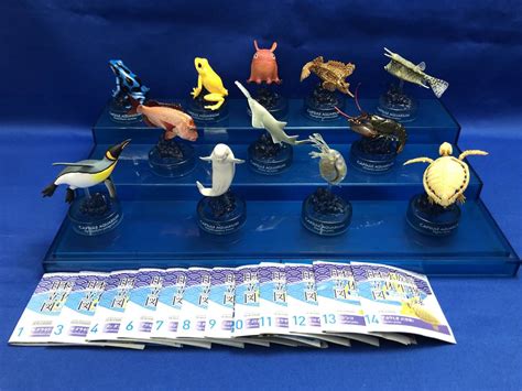 します ヤフオク 海洋堂 日本の水族館 改訂版 全12種 未開封品 フルコンプ br
