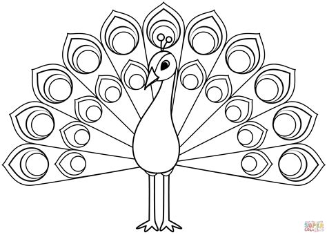 peacock coloring page  printable coloring pages