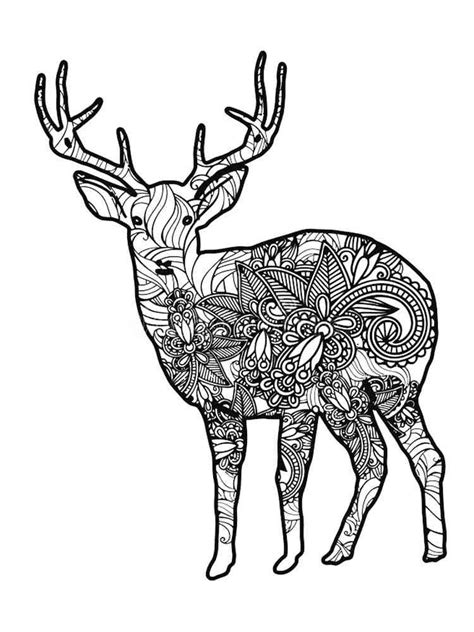 deer coloring pages  adults