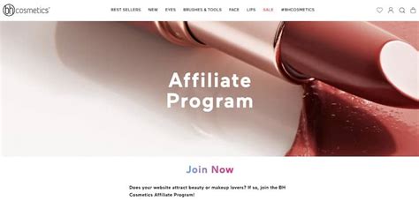 affiliate programs   high paying  beginners   affiliate programs