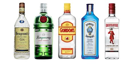 interesting facts  gin  fun facts
