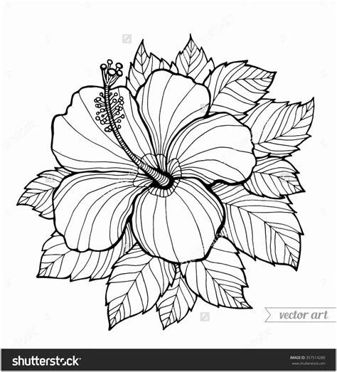 hibiscus flower coloring pages