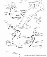 Coloring Pages Farm Animal Ducks Duck Pond Family Printable Kids Animals Swimming Clipart Print Sheet Activity Para Patos Honkingdonkey Colorear sketch template
