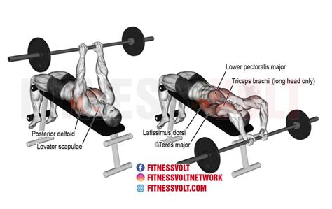 How To Do Decline Bent Arm Barbell Pullover Lats Chest Fitness Volt