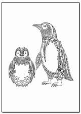 Adult Penguins Mandala sketch template
