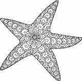 Starfish Colorazione Linea Pagina Adulti Vettore Degli Libro Marine sketch template
