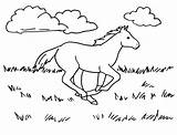 Horse Coloring Running Printable Samanthasbell sketch template