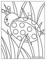 Coloring Ladybug Printable Pages Popular sketch template