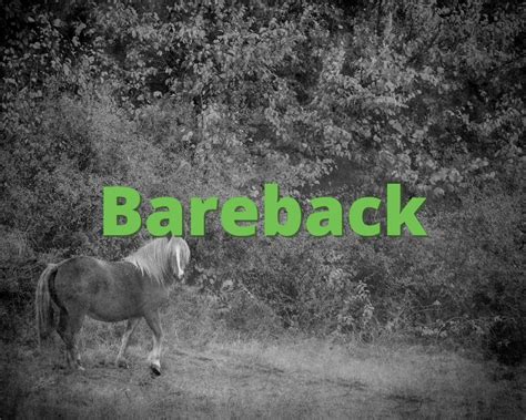 bareback what does bareback mean