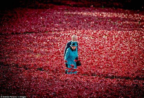 tower of london poppies exhibit visited by the queen daily mail online