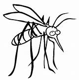 Mosquito Komar Kolorowanki Mosquitos Insect Bestcoloringpagesforkids Wydruku Insects sketch template