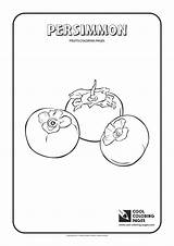 Coloring Persimmon Pages Cool Print Fruit sketch template