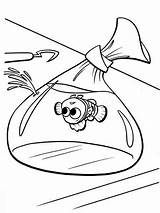 Nemo Finding Disney Ausmalbilder Colorir Kolorowanki Gdzie Procurando Buscando Peixe Ausmalbild Pesce Bolsitas Marinhos Plantillas Bolsa Imprimir Plástico Tudodesenhos Plastico sketch template