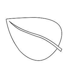 pin  suzanne haven  primary song pictures coloring pages leaf