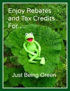 tax credits   green  savvy age