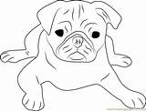 Pug Coloring Pages Face Cute Dog Printable Drawing Color Puggle Colouring Getcolorings Dogs Print Getdrawings Template Coloringpages101 Comments sketch template