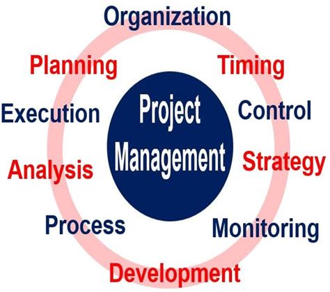 project management definition meaning  examples
