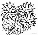 Ananas Pineapples Obst Frutas Piña Cool2bkids Ribbons Coloringtop Clipartmag Coloringhome Sliced sketch template