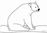 Bear Coloring Pages Printable sketch template