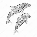 Dolfijn Kleurplaat Delfin Kleurplaten Volwassenen Dolfijnen Adults Moeilijk Erwachsene Moeilijke Zee Delphin Zentangle Dier Source Hart Baisan Delfín sketch template