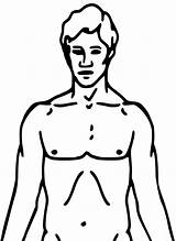 Clipart Body Outline Human Printable Diagram Chest Library sketch template