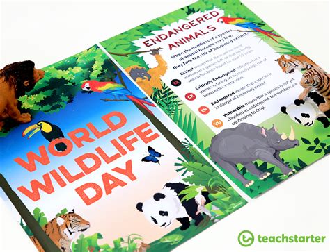 world wildlife day activities  kids teach starter
