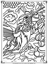 Bird Detailed sketch template