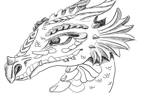 hd coloring pages  dragons realistic  craetive kids colouring