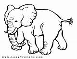 Safari Coloring Pages Animals Elephant Animal Kids Africa Wildlife Big African Baby Gif Drawing Sheet Crafts раскраски Colour Printable Sheets sketch template