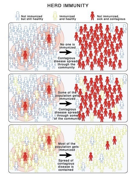 herd immunity pengertian mekanisme  model matematis  xxx hot