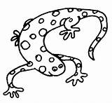 Salamander Ramarro Salamandra Salamandras Salamandre Pintar Amphibians Animali Ramarri Verschiedene Ausmalen Lizard Pueda Deseo Aporta Utililidad Hacer sketch template