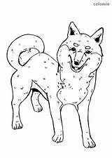 Shiba Inu Coloring Dog Dogs Pages Printing sketch template