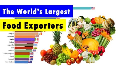 top  largest food exporting countries  worlds largest food