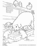 Coloring Pages Farm Pig Animal Pigs Printable Animals Kids Piglet Color Print Slop Clipart Baby Sheets Sheet Colouring Barn Book sketch template