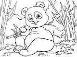 Panda Coloring Animals Asian Pages Coloringpages4u sketch template