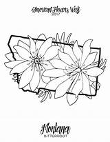 Coloring Forget Flowers Pages State Getdrawings Printable Getcolorings Print sketch template