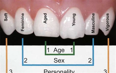 sex personality and age spa factor dental esthetics