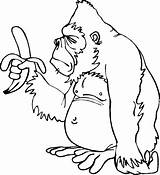 Gorilla Coloring Pages Kids Color Printable Getcolorings sketch template