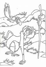 Lion King Coloring Rafiki Pages Kids Monkey Disney Wise Roi Le Printable sketch template