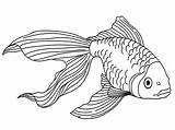 Goldfish Coloring Pages sketch template