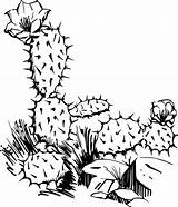 Cactus Outline Clip Drawings Clipart Flower Clker Coloring Vector Pages Tattoo sketch template